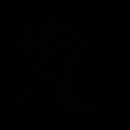 Texland_SwimwearFabric_Tecido-para-biquinis-licra-para-biquinis-fatos-de-banho-preto