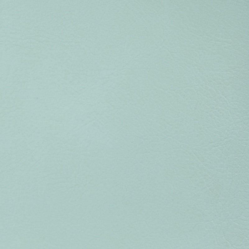 Napa hospitalaria en PVC | Glob 1.2mm - Verde cian